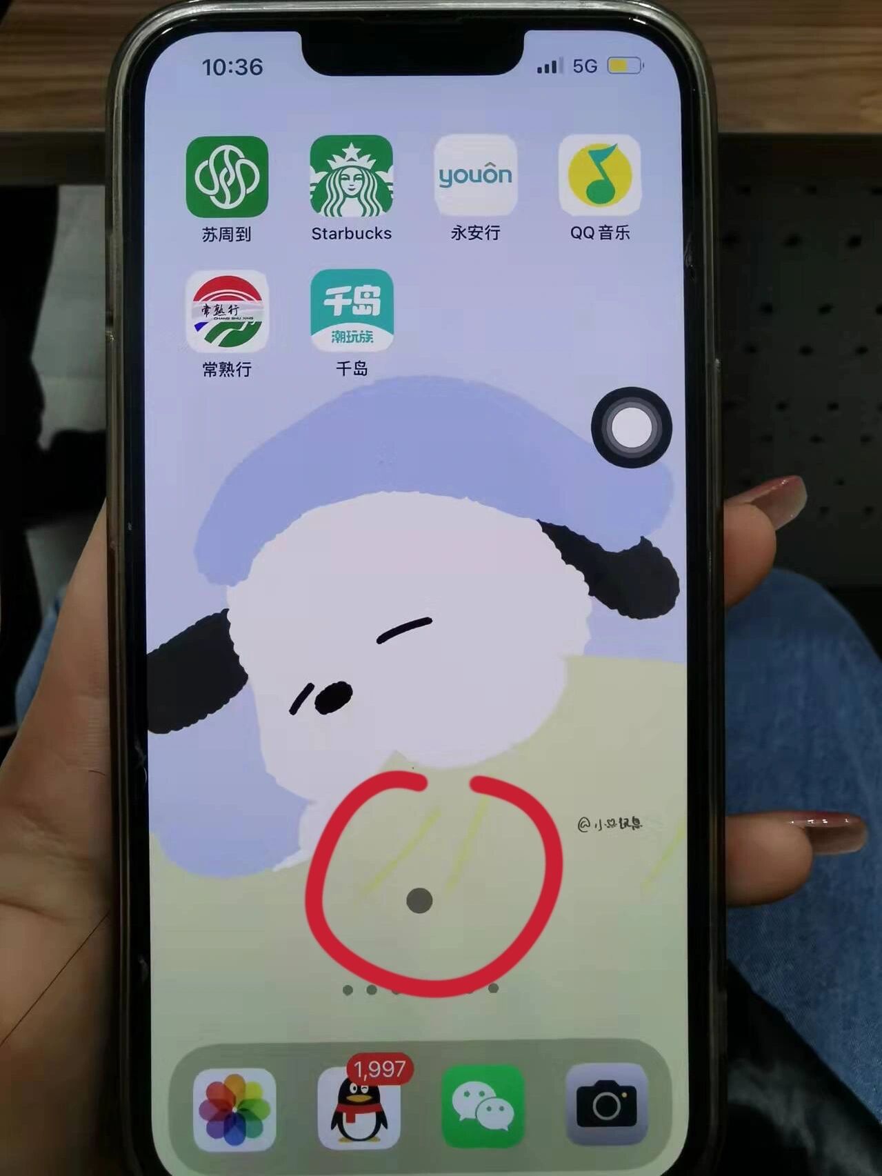台湾博士沈阳行“首来族”盼做“自己人”(图1)